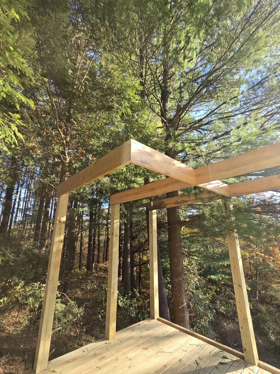 Outdoor timber frame and decking